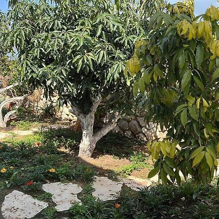 فيلا אחוזת היניבים Yaniv Estate Nurit المظهر الخارجي الصورة