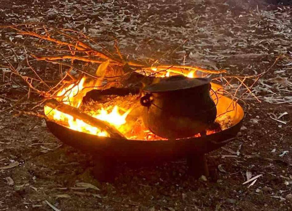 فيلا אחוזת היניבים Yaniv Estate Nurit المظهر الخارجي الصورة